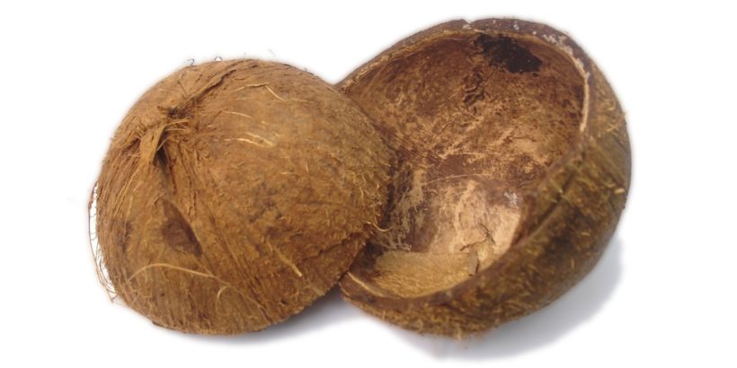 coconut-shell-