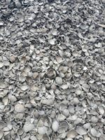 Liberty Carbon India,llc